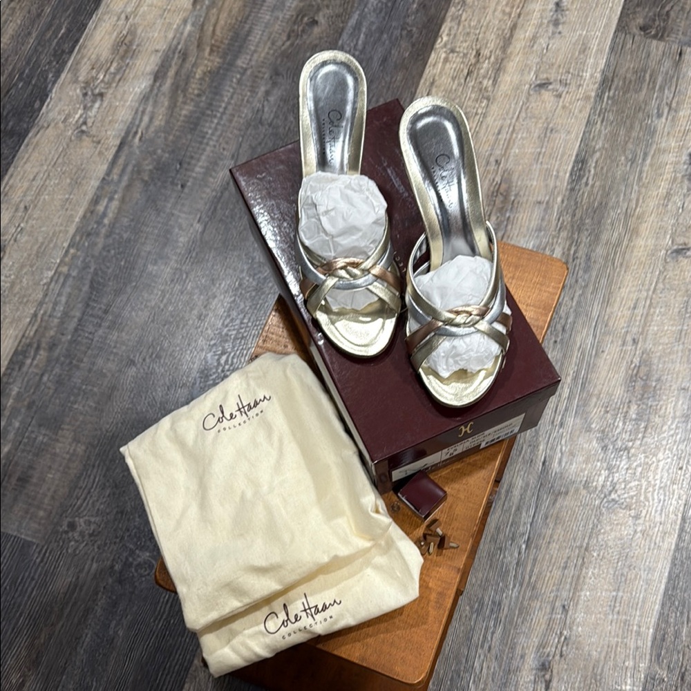 Cole Haan Women's Evelina Slide Metallic Heels